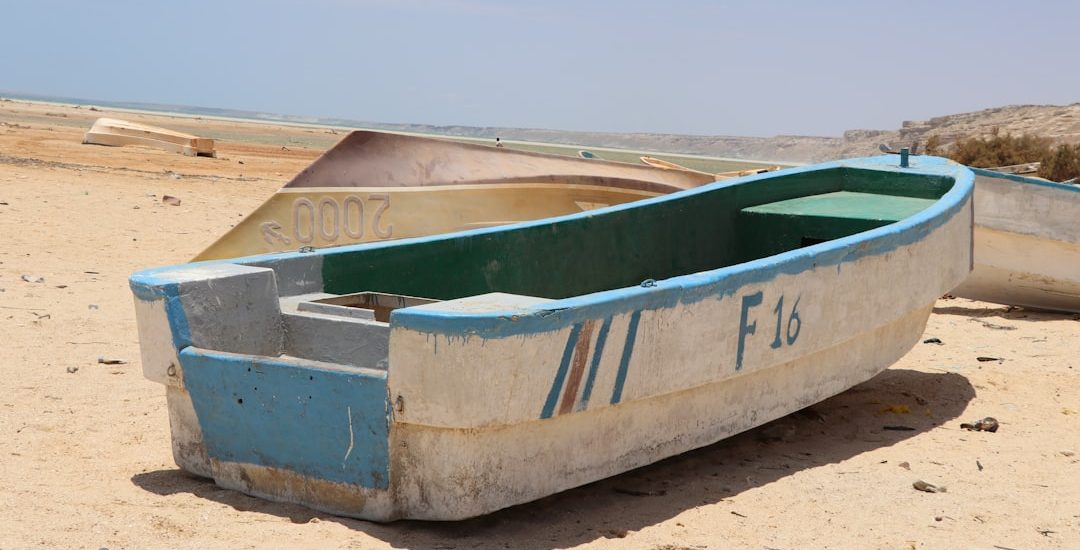 white and green canoe on brown sand during daytime