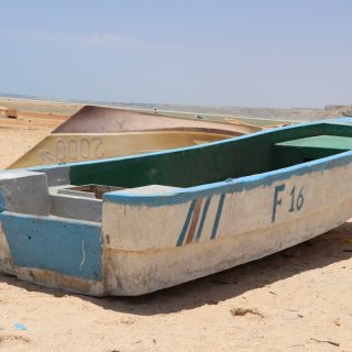 white and green canoe on brown sand during daytime